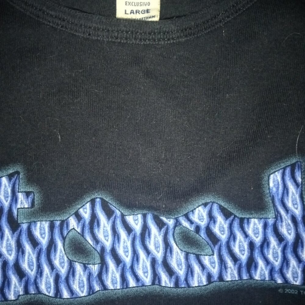 Tool vintage baby doll shirt